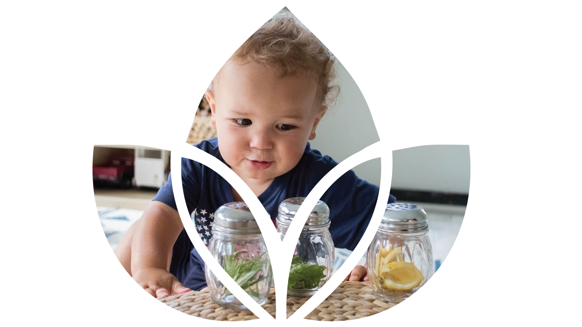 Sensorial Curriculum